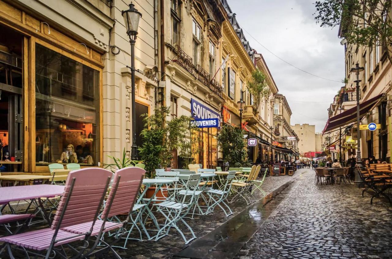 Plants Attic Studio - Best Location - Old Town Bukarest Exteriör bild