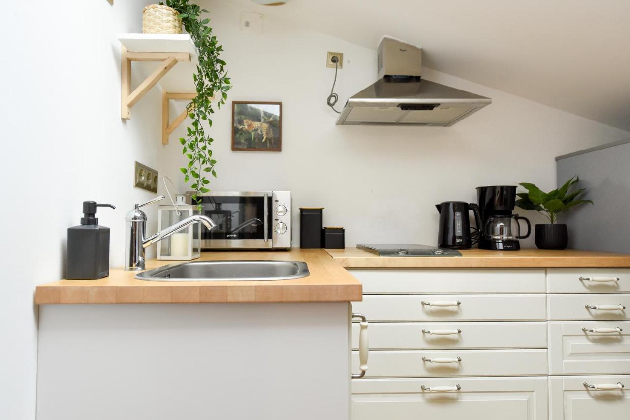 Plants Attic Studio - Best Location - Old Town Bukarest Exteriör bild